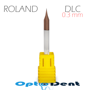 0.3 dlc roland