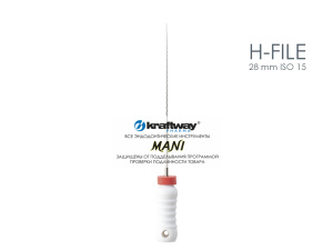 H-file 28 mm ISO 15