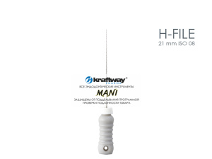 H-file 21 mm ISO 08