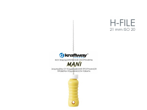 H-file 21 mm ISO 20