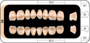 нижние34_e7fbae47-dcc4-442b-b2b4-b317189f838f_1024x1024@2x (1)