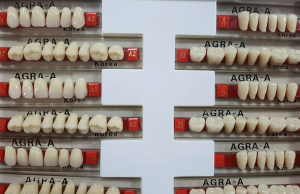 08d9bb0b-8bdb-41c9-9a1b-1d4ce8fc9cfc