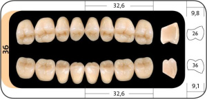 нижние36_ab42e9dd-cb1e-4366-9b2b-2b46108fe692_1024x1024@2x