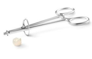 960x435_implantbaseholder2