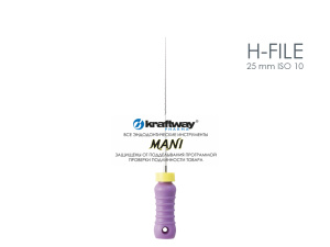 H-file 25 mm ISO 10