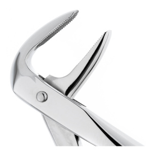 wnz8zscyiuzpvprmff1ua8zt3w9avevc