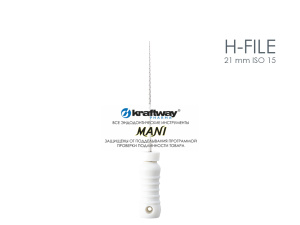 H-file 21 mm ISO 15