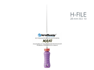 H-file 28 mm ISO 10