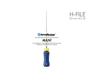 H-file 25 mm ISO 30