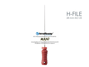 H-file 28 mm ISO 25