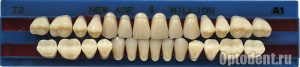A1
