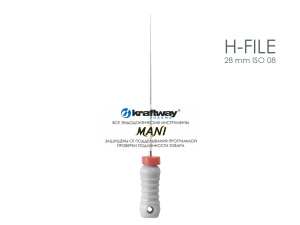 H-file 28mm ISO 08
