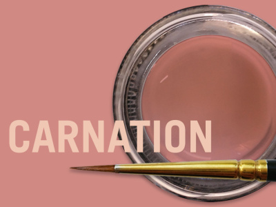 MiYO_pink_Carnation