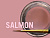 MiYO_pink_salmon