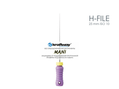 H-file 25 mm ISO 10