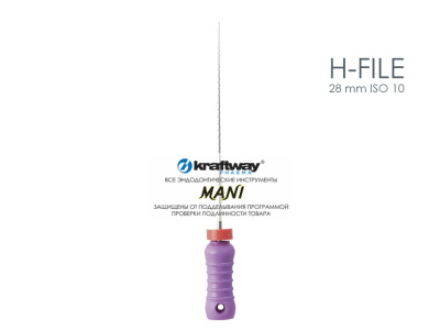 H-file 28 mm ISO 10