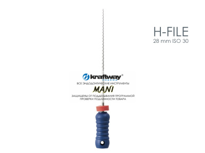 H-file 28 mm ISO 30