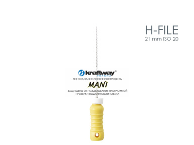 H-file 21 mm ISO 20