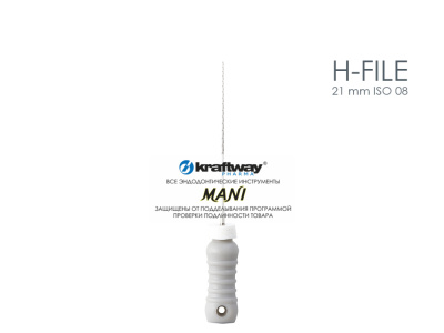 H-file 21 mm ISO 08