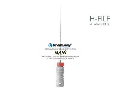 H-file 28mm ISO 08