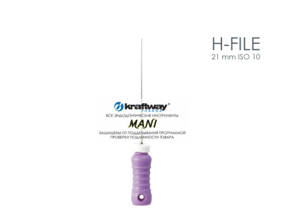 H-file 21 mm ISO 08