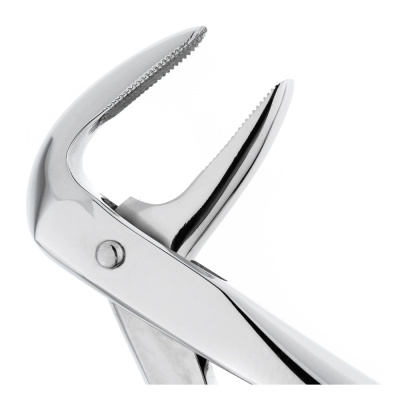 wnz8zscyiuzpvprmff1ua8zt3w9avevc